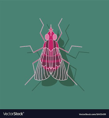 Paper sticker on background of fly vector image
