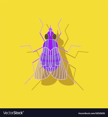 Paper sticker on background of fly vector image