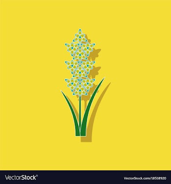 Paper sticker on background of gladiolus vector image