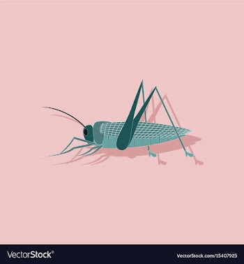 Paper sticker on background of grasshopper vector image