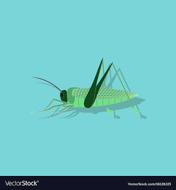 Paper sticker on background of grasshopper vector image