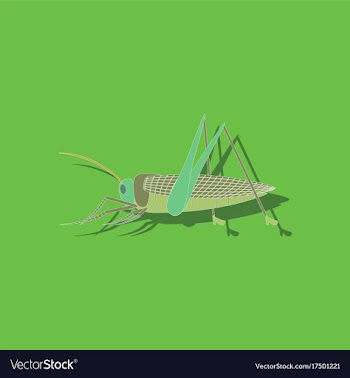 Paper sticker on background of grasshopper vector image