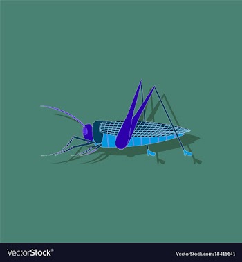 Paper sticker on background of grasshopper vector image