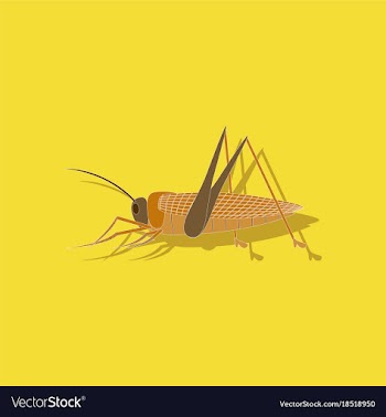 Paper sticker on background of grasshopper vector image