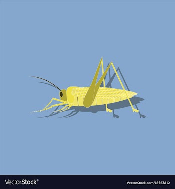 Paper sticker on background of grasshopper vector image