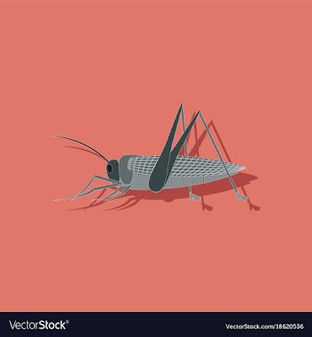 Paper sticker on background of grasshopper vector image