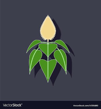 Paper sticker on background of herb amaranthus vector image