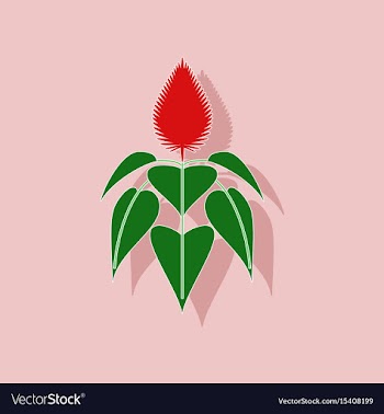 Paper sticker on background of herb amaranthus vector image