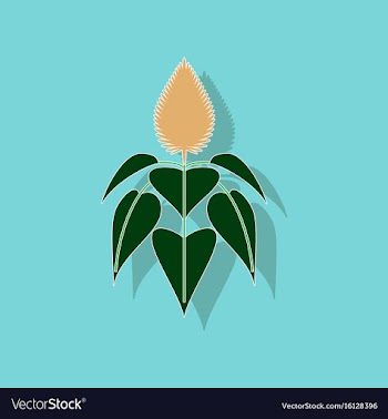 Paper sticker on background of herb amaranthus vector image