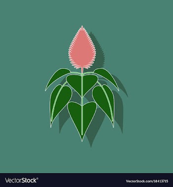 Paper sticker on background of herb amaranthus vector image
