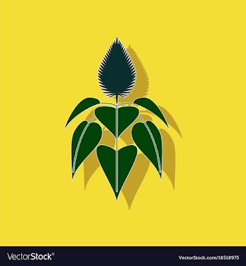 Paper sticker on background of herb amaranthus vector image