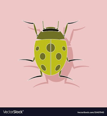 Paper sticker on background of ladybug vector image