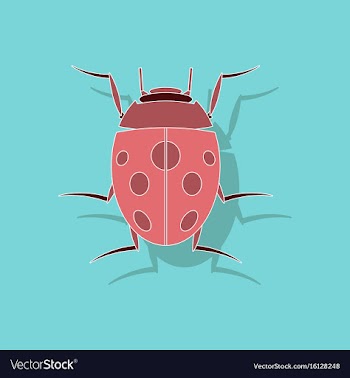 Paper sticker on background of ladybug vector image