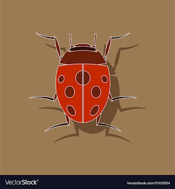 Paper sticker on background of ladybug vector image