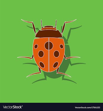 Paper sticker on background of ladybug vector image