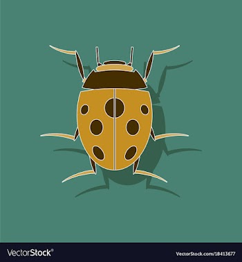 Paper sticker on background of ladybug vector image
