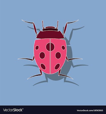 Paper sticker on background of ladybug vector image