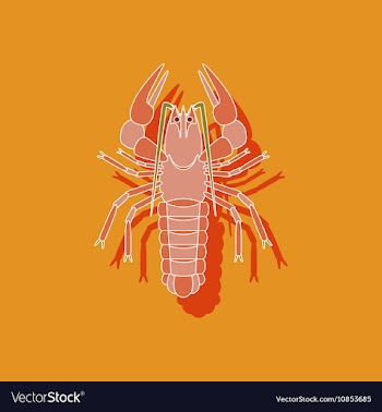 Paper sticker on background of lobster vector image