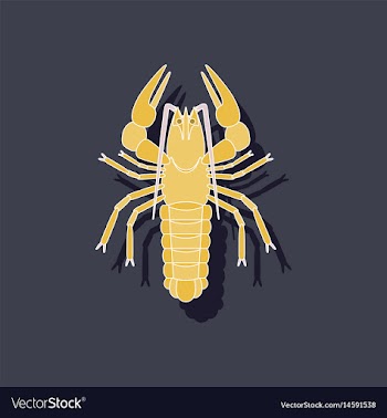 Paper sticker on background of lobster vector image