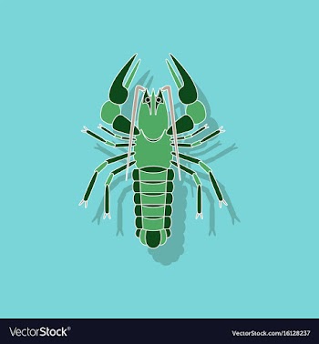 Paper sticker on background of lobster vector image