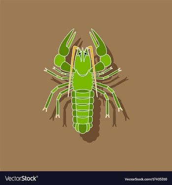 Paper sticker on background of lobster vector image