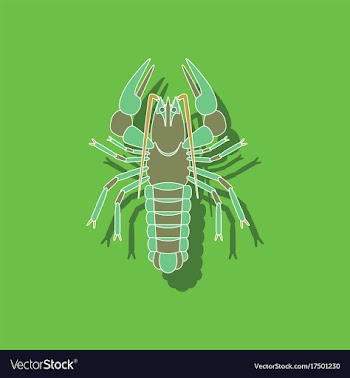 Paper sticker on background of lobster vector image