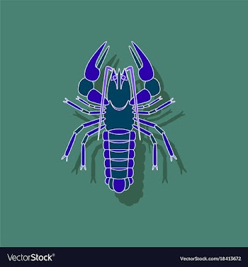 Paper sticker on background of lobster vector image