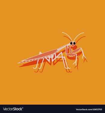 Paper sticker on background of Mantis vector image