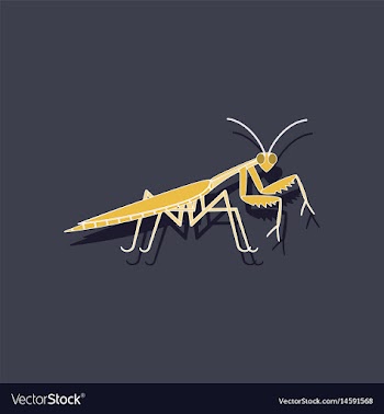 Paper sticker on background of mantis vector image