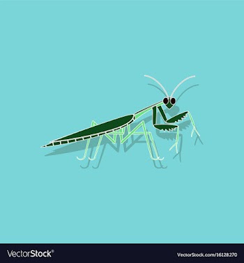 Paper sticker on background of mantis vector image