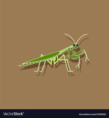 Paper sticker on background of mantis vector image