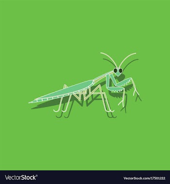 Paper sticker on background of mantis vector image