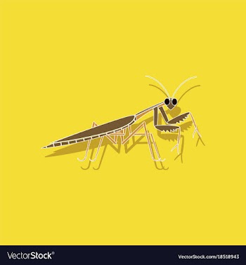 Paper sticker on background of mantis vector image