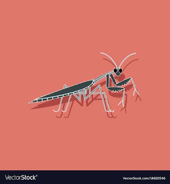 Paper sticker on background of mantis vector image