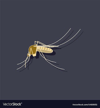 Paper sticker on background of mosquito vector image