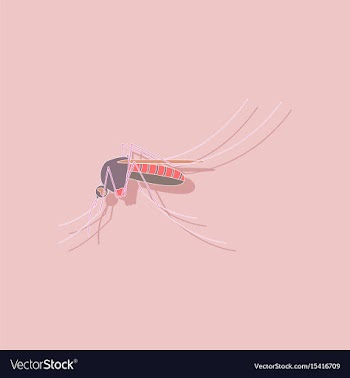 Paper sticker on background of mosquito vector image