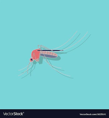 Paper sticker on background of mosquito vector image