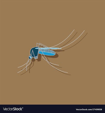 Paper sticker on background of mosquito vector image