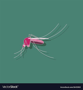 Paper sticker on background of mosquito vector image