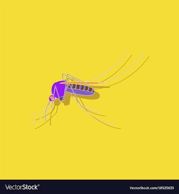 Paper sticker on background of mosquito vector image