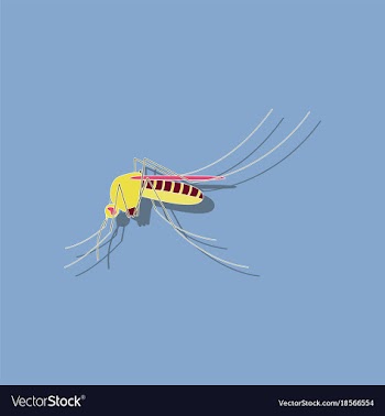 Paper sticker on background of mosquito vector image