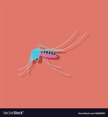 Paper sticker on background of mosquito vector image