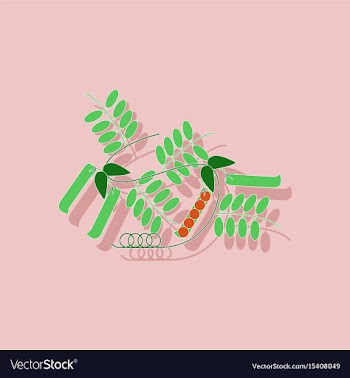 Paper sticker on background of natural pisum vector image