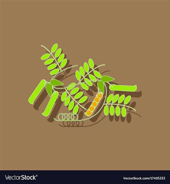 Paper sticker on background of natural pisum vector image