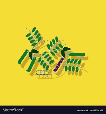 Paper sticker on background of natural pisum vector image