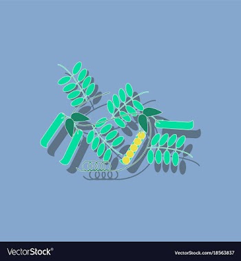 Paper sticker on background of natural pisum vector image