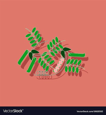 Paper sticker on background of natural pisum vector image