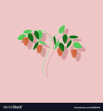 Paper sticker on background of plant capsicum vector image