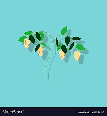 Paper sticker on background of plant capsicum vector image
