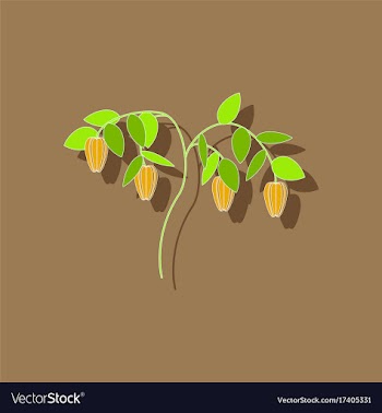 Paper sticker on background of plant capsicum vector image